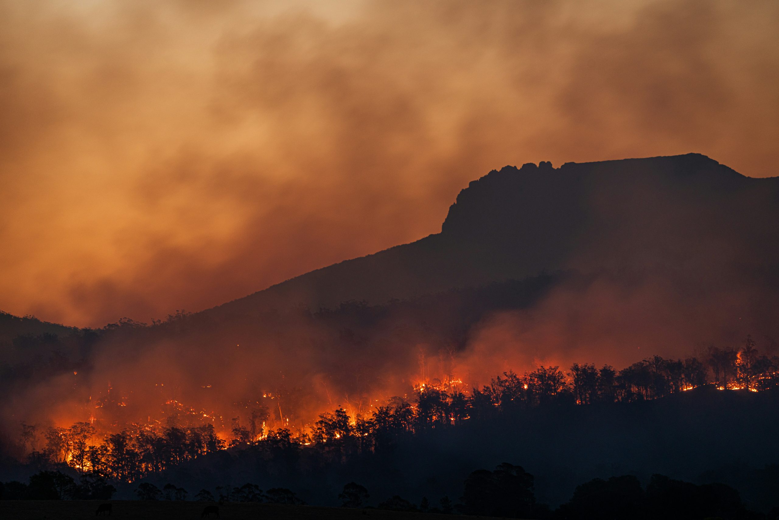 AI and Machine Learning for Sustainability: Developing AI-driven Models to Predict and Mitigate the Impacts of Extreme Weather Events.